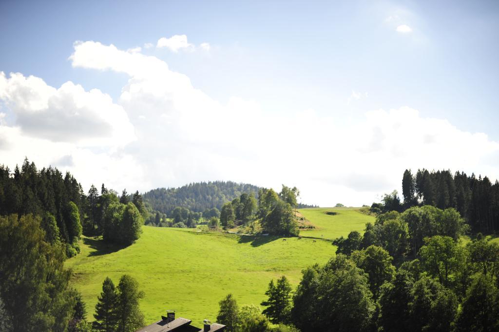 מלון הינטרצארטן Ferien Residenz Bergfried מראה חיצוני תמונה